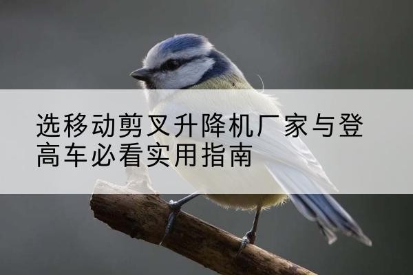漯河电动升降机厂家-选移动剪叉升降机厂家与登高车必看实用指南