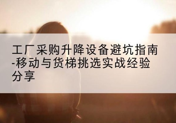 漯河移动式升降机怎么选-工厂采购升降设备避坑指南-移动与货梯挑选实战经验分享