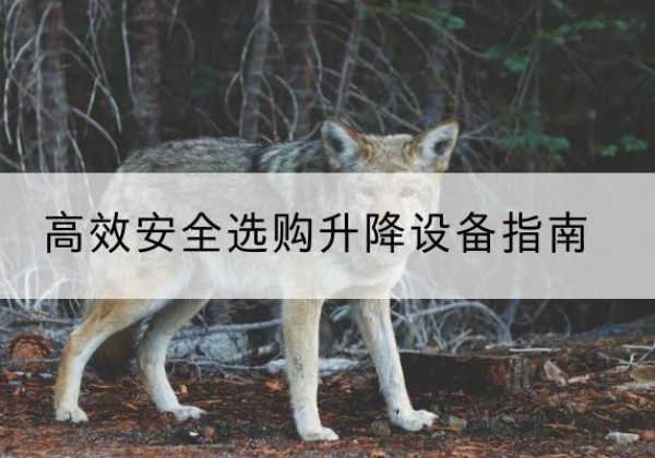 漯河升降货梯厂家推荐-*安全选购升降设备指南